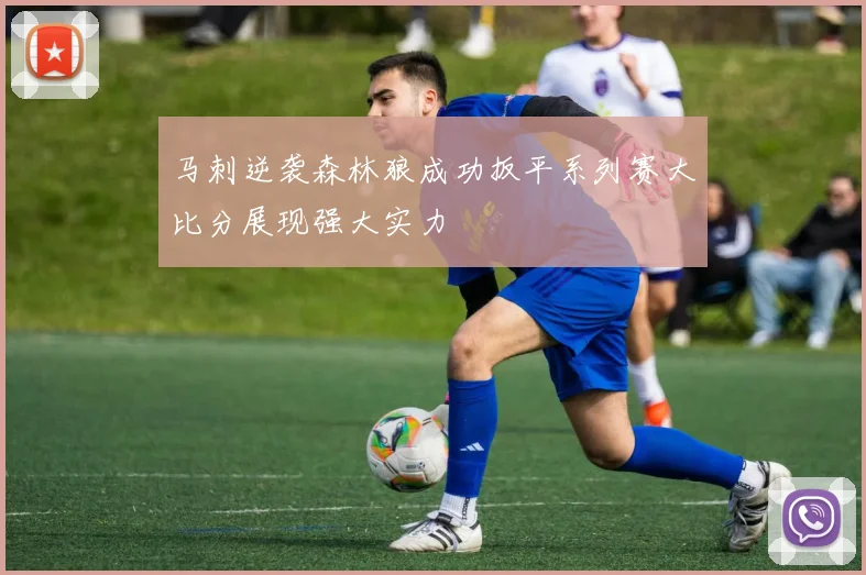 马刺逆袭森林狼成功扳平系列赛大比分展现强大实力