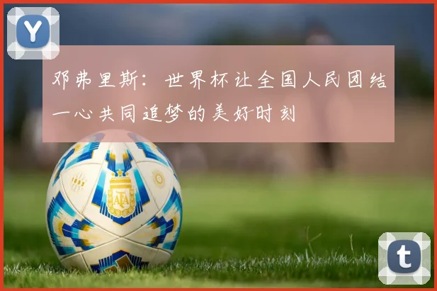 邓弗里斯：世界杯让全国人民团结一心共同追梦的美好时刻