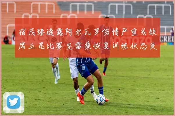 宿茂臻透露阿尔瓦罗伤情严重或缺席玉昆比赛克雷桑恢复训练状态良好